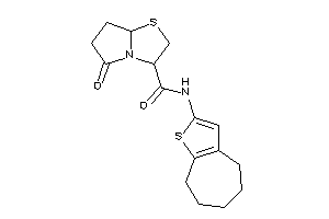 5-keto-N-(5,6,7,8-tetrahydro-4H-cyclohepta[b]thiophen-2-yl)-3,6,7,7a-tetrahydro-2H-pyrrolo[2,1-b]thiazole-3-carboxamide