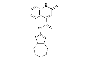 2-keto-N-(5,6,7,8-tetrahydro-4H-cyclohepta[b]thiophen-2-yl)-1H-quinoline-4-carboxamide