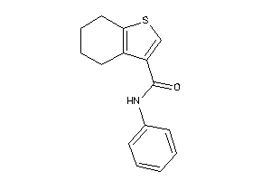 N-phenyl-4,5,6,7-tetrahydrobenzothiophene-3-carboxamide