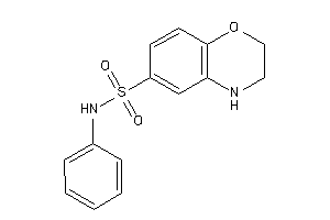 N-phenyl-3,4-dihydro-2H-1,4-benzoxazine-6-sulfonamide