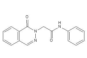2-(1-ketophthalazin-2-yl)-N-phenyl-acetamide