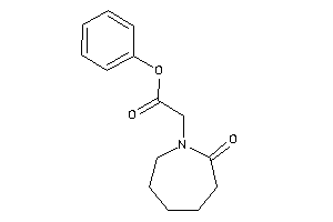 2-(2-ketoazepan-1-yl)acetic Acid Phenyl Ester