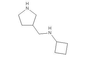 Cyclobutyl(pyrrolidin-3-ylmethyl)amine