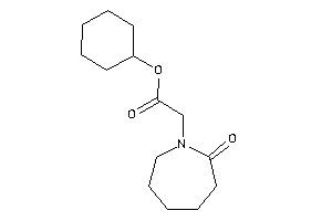 2-(2-ketoazepan-1-yl)acetic Acid Cyclohexyl Ester