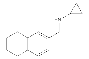 Image of Cyclopropyl(tetralin-6-ylmethyl)amine