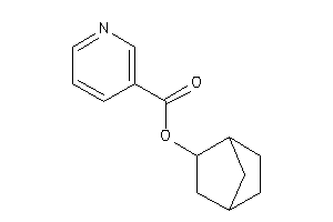 Nicotin 2-norbornyl Ester