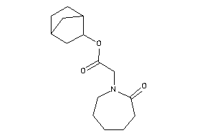 2-(2-ketoazepan-1-yl)acetic Acid 2-norbornyl Ester