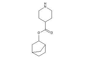 Isonipecot 2-norbornyl Ester