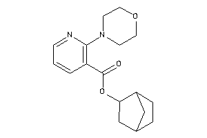 2-morpholinonicotin 2-norbornyl Ester