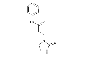 3-(2-ketoimidazolidin-1-yl)-N-phenyl-propionamide