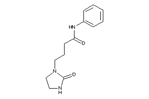 4-(2-ketoimidazolidin-1-yl)-N-phenyl-butyramide