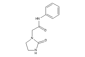 2-(2-ketoimidazolidin-1-yl)-N-phenyl-acetamide