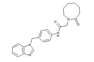 N-[4-(benzimidazol-1-ylmethyl)phenyl]-2-(2-ketoazocan-1-yl)acetamide