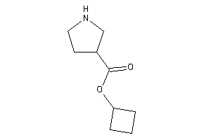 Pyrrolidine-3-carboxylic Acid Cyclobutyl Ester