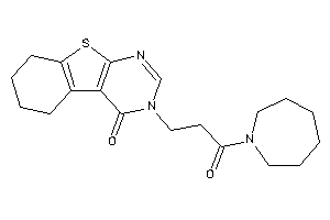 3-[3-(azepan-1-yl)-3-keto-propyl]-5,6,7,8-tetrahydrobenzothiopheno[2,3-d]pyrimidin-4-one