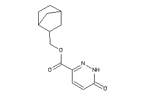 6-keto-1H-pyridazine-3-carboxylic Acid 2-norbornylmethyl Ester