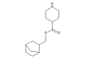 Isonipecot 2-norbornylmethyl Ester