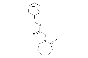 2-(2-ketoazepan-1-yl)acetic Acid 2-norbornylmethyl Ester