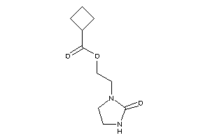 Cyclobutanecarboxylic Acid 2-(2-ketoimidazolidin-1-yl)ethyl Ester