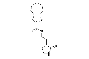 5,6,7,8-tetrahydro-4H-cyclohepta[b]thiophene-2-carboxylic Acid 2-(2-ketoimidazolidin-1-yl)ethyl Ester