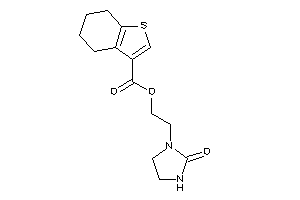 4,5,6,7-tetrahydrobenzothiophene-3-carboxylic Acid 2-(2-ketoimidazolidin-1-yl)ethyl Ester