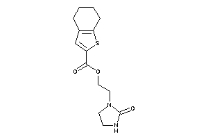 4,5,6,7-tetrahydrobenzothiophene-2-carboxylic Acid 2-(2-ketoimidazolidin-1-yl)ethyl Ester