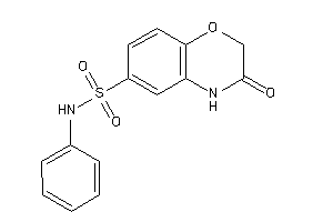 3-keto-N-phenyl-4H-1,4-benzoxazine-6-sulfonamide