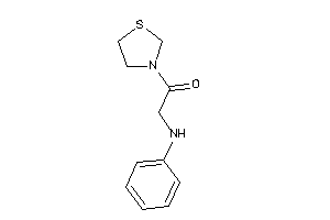 2-anilino-1-thiazolidin-3-yl-ethanone