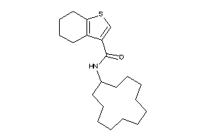 N-cyclododecyl-4,5,6,7-tetrahydrobenzothiophene-3-carboxamide