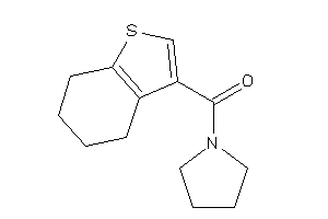 Pyrrolidino(4,5,6,7-tetrahydrobenzothiophen-3-yl)methanone