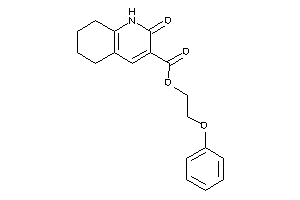 2-keto-5,6,7,8-tetrahydro-1H-quinoline-3-carboxylic Acid 2-phenoxyethyl Ester
