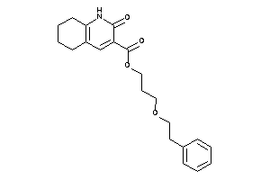 2-keto-5,6,7,8-tetrahydro-1H-quinoline-3-carboxylic Acid 3-phenethyloxypropyl Ester