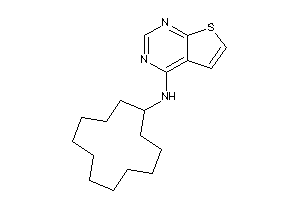 Cyclododecyl(thieno[2,3-d]pyrimidin-4-yl)amine