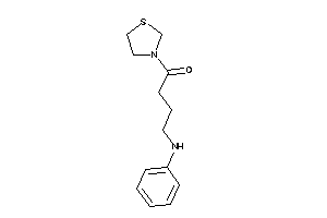 4-anilino-1-thiazolidin-3-yl-butan-1-one