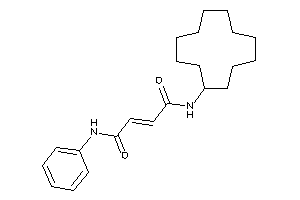 Image of N-cyclododecyl-N'-phenyl-but-2-enediamide