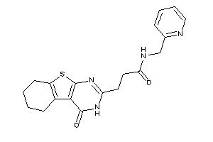 3-(4-keto-5,6,7,8-tetrahydro-3H-benzothiopheno[2,3-d]pyrimidin-2-yl)-N-(2-pyridylmethyl)propionamide