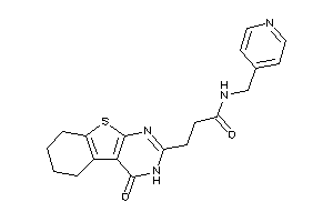 3-(4-keto-5,6,7,8-tetrahydro-3H-benzothiopheno[2,3-d]pyrimidin-2-yl)-N-(4-pyridylmethyl)propionamide