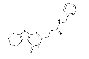 3-(4-keto-5,6,7,8-tetrahydro-3H-benzothiopheno[2,3-d]pyrimidin-2-yl)-N-(3-pyridylmethyl)propionamide