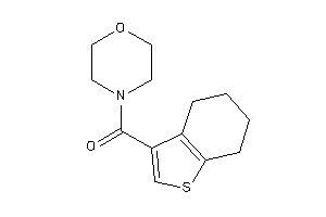 Morpholino(4,5,6,7-tetrahydrobenzothiophen-3-yl)methanone