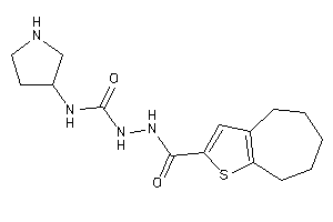 1-pyrrolidin-3-yl-3-(5,6,7,8-tetrahydro-4H-cyclohepta[b]thiophene-2-carbonylamino)urea