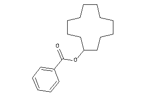 Image of Benzoic Acid Cyclododecyl Ester