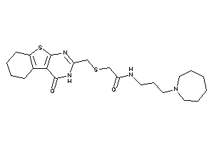 N-[3-(azepan-1-yl)propyl]-2-[(4-keto-5,6,7,8-tetrahydro-3H-benzothiopheno[2,3-d]pyrimidin-2-yl)methylthio]acetamide