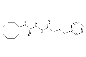 1-cyclooctyl-3-(4-phenylbutanoylamino)urea