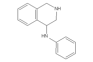 Phenyl(1,2,3,4-tetrahydroisoquinolin-4-yl)amine