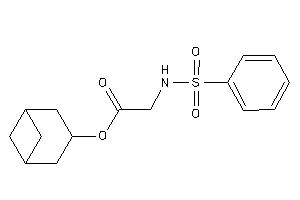 2-(benzenesulfonamido)acetic Acid Norpinan-3-yl Ester