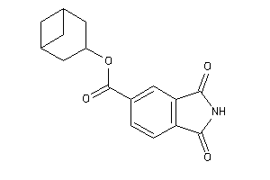 1,3-diketoisoindoline-5-carboxylic Acid Norpinan-3-yl Ester