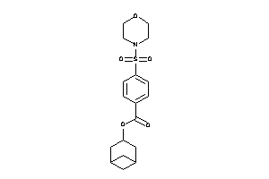 4-morpholinosulfonylbenzoic Acid Norpinan-3-yl Ester