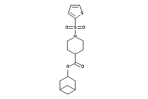 1-(2-thienylsulfonyl)isonipecot Norpinan-3-yl Ester