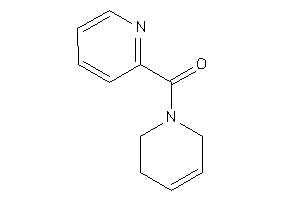 3,6-dihydro-2H-pyridin-1-yl(2-pyridyl)methanone