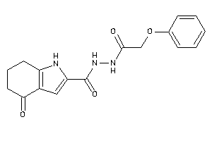 4-keto-N'-(2-phenoxyacetyl)-1,5,6,7-tetrahydroindole-2-carbohydrazide